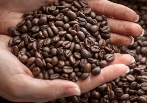 What is the Most Delicious Coffee Bean?